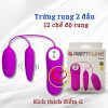 trứng rung tình yêu 2 đầu PRETTY LOVE 12 chế độ